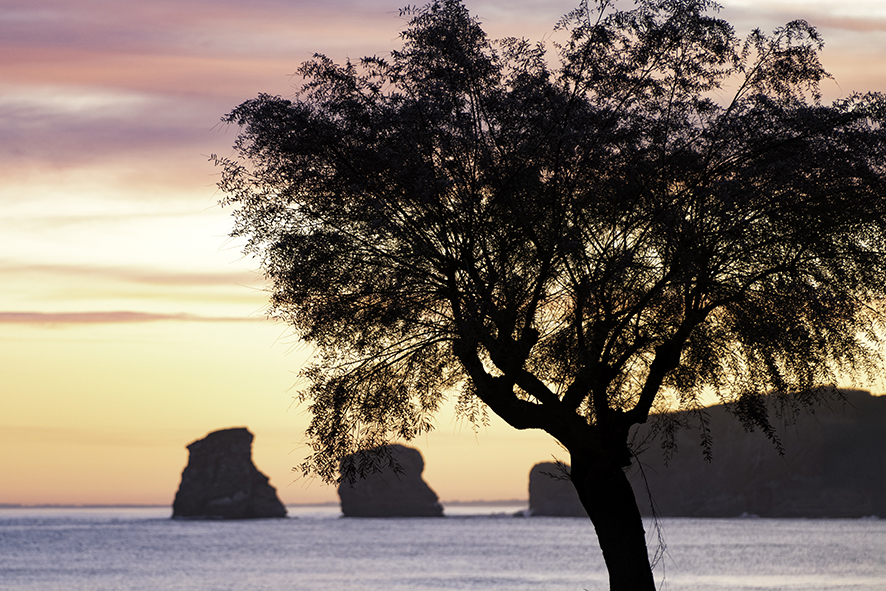 séjours adultes pays basque